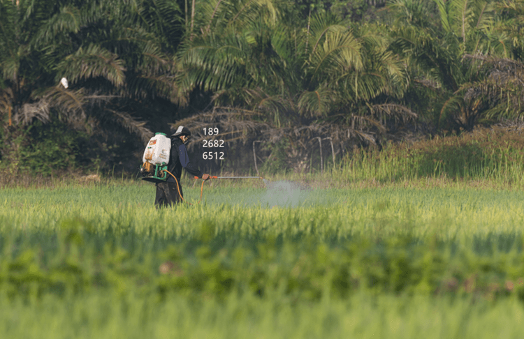 液體肥料消泡劑的作用